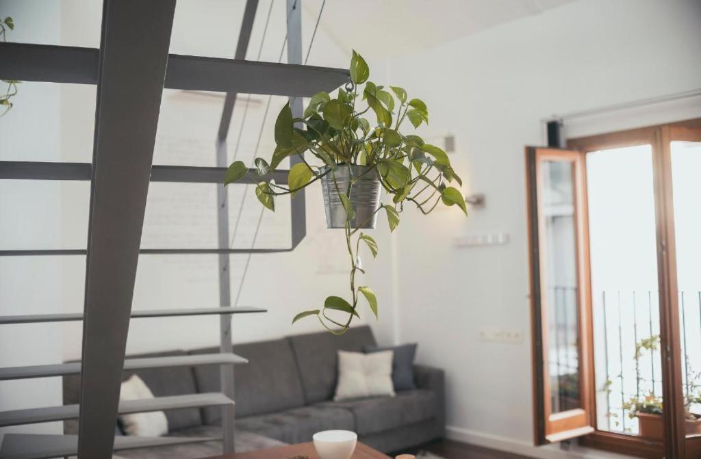 Apartment Trigo Homes Cordoba